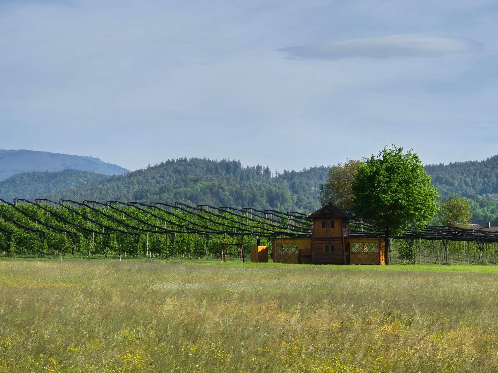 Unique Wooden Holiday House In Nature Lukovica pri Domžalah Esterno foto