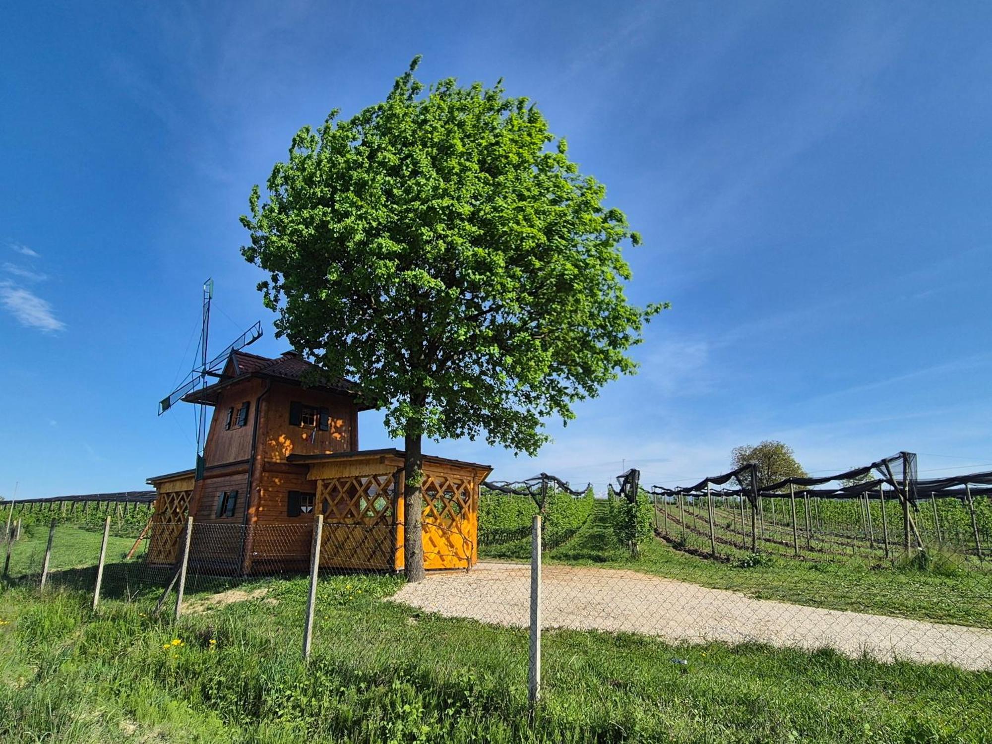 Unique Wooden Holiday House In Nature Lukovica pri Domžalah Esterno foto